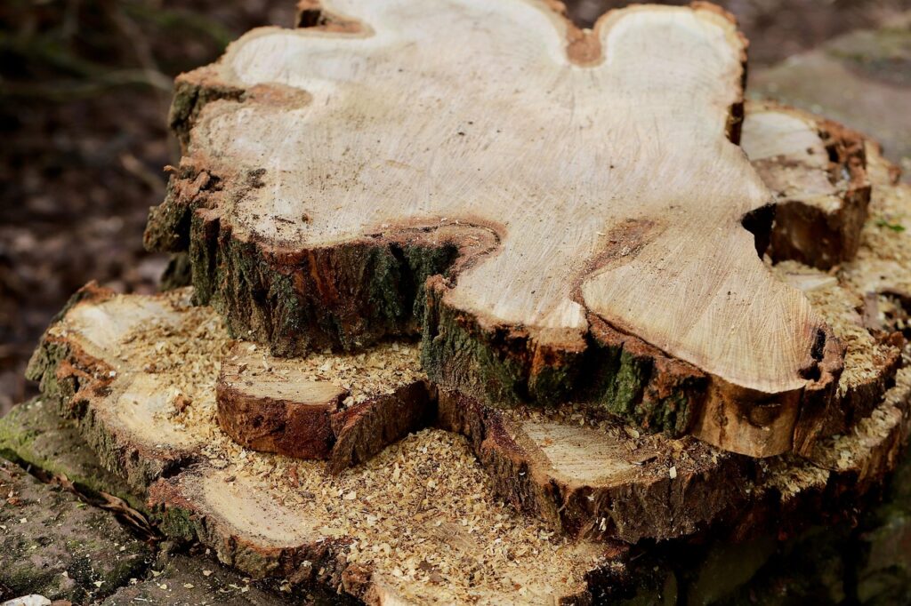 bois alimentaire réglementation